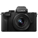 Panasonic Lumix DC-G100 with 12-32mm Lens Kit