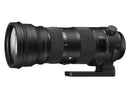 Sigma 150-600mm f/5-6.3 DG OS HSM Sport